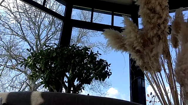 3615-ULLA online show from March 2026 11:57:01 AM