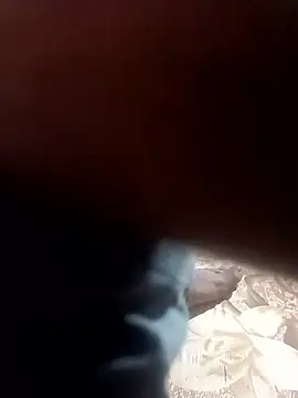 newboygoa online show from January 2026 02:08:01 PM