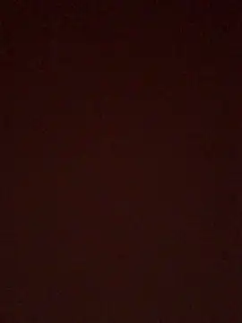 BrusqueEuphoria online show from October 2025 04:55:01 AM