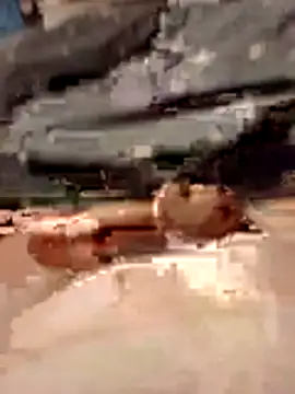 Anonimek942 online show from November 2025 11:52:01 PM