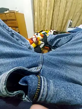 luislimafuego online show from November 2025 04:02:02 AM