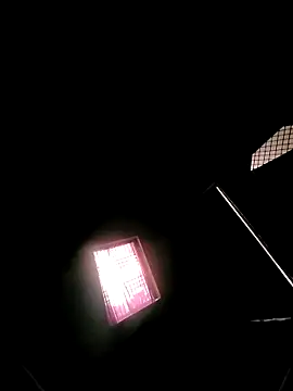 princexdcs online show from February 2026 10:52:02 AM