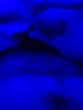 Derfick200 online show from December 2025 07:09:01 PM