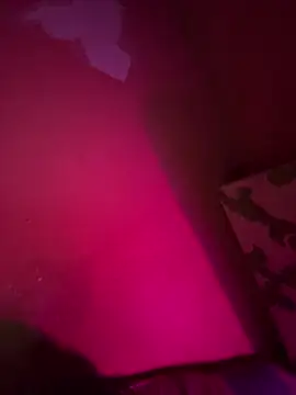 saumon3022 online show from September 2025 08:54:01 PM