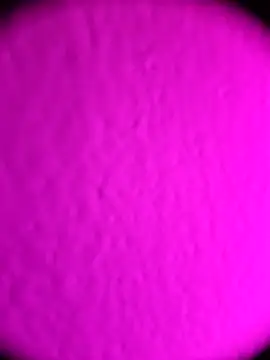 Michou02xXx online show from February 2026 04:52:01 AM