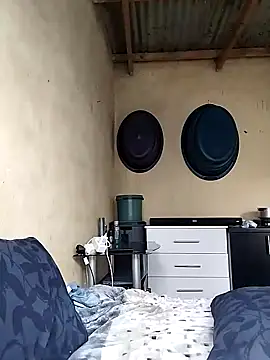 shebeshid online show from November 2025 01:55:01 PM