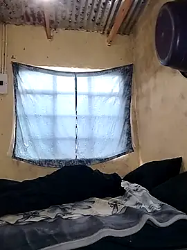 Snapshot of shebeshid chatting on April 2026 07:30:01 AM shebeshid online show from April 2026 07:30:01 AM