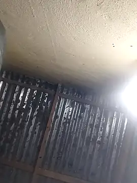 Snapshot of shebeshid chatting on April 2026 05:07:02 PM shebeshid online show from April 2026 05:07:02 PM