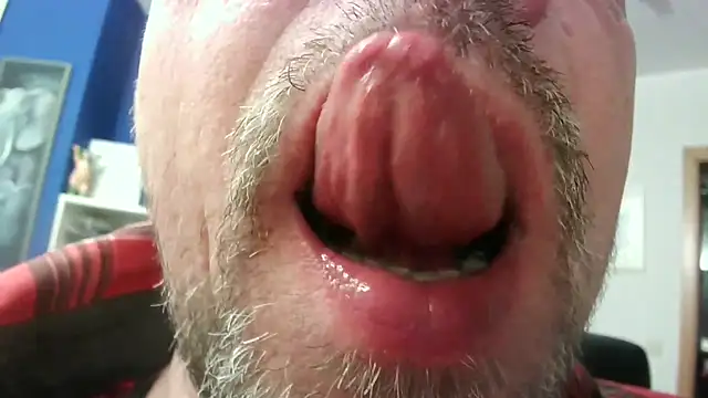 circus bearxh online show from November 2025 06:46:01 AM