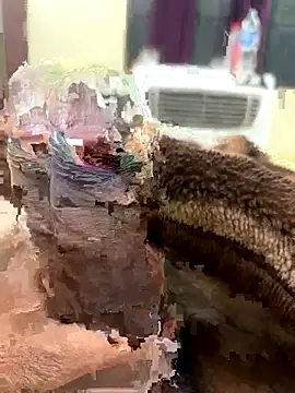 its Surya BBC online show from November 2025 12:40:01 PM