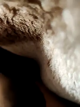 its Surya BBC online show from January 2026 05:06:01 PM