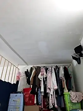 Minn-cute online show from November 2025 12:11:01 PM