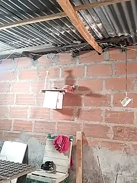 hoteder online show from April 2026 12:04:01 PM