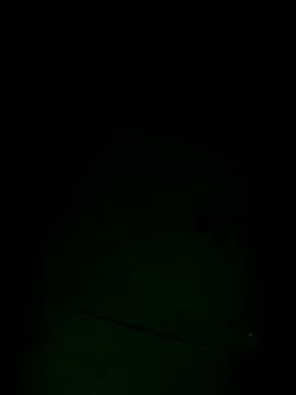 Rizky sabath online show from December 2025 06:20:02 AM