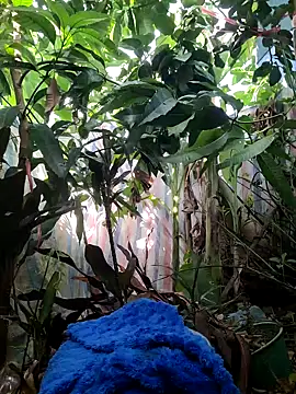 Kiki-vivi online show from September 2025 01:17:01 AM