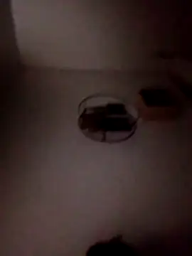 P E R V I T I N online show from April 2026 01:58:02 AM