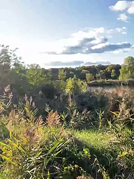 FavoriteKira online show from September 2025 02:07:01 PM