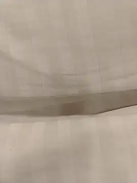 Yoshi rexy online show from October 2025 03:17:01 AM