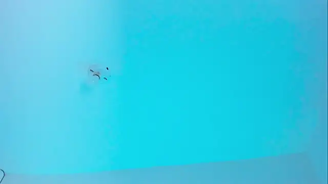 Snapshot of Ellope_ chatting on November 2025 09:59:01 PM Ellope online show from November 2025 09:59:01 PM