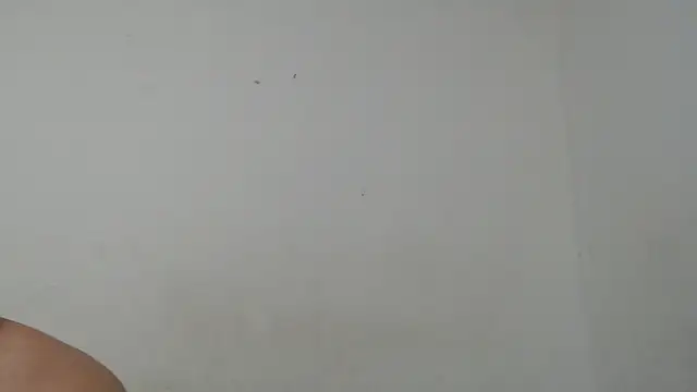 Ana ThiagoxX online show from September 2025 02:54:02 AM