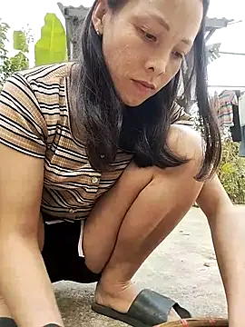 Sinejdk3 online show from October 2025 09:20:01 AM