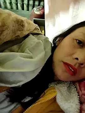 Sinejdk3 online show from January 2026 08:56:01 PM