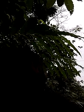 linda bae00 online show from November 2025 01:16:01 AM