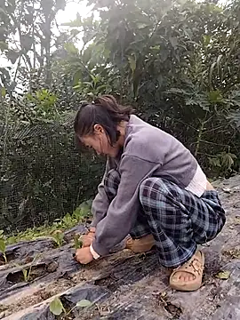 linda bae00 online show from November 2025 01:58:02 AM