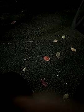 rinne0110 online show from November 2025 01:11:02 PM