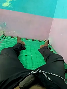 dolphiinn online show from September 2025 06:12:02 AM