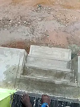 dolphiinn online show from October 2025 02:34:01 AM