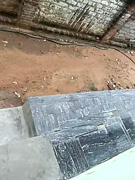 dolphiinn online show from October 2025 02:48:02 AM