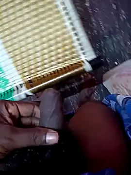 dolphiinn online show from November 2025 01:11:01 PM