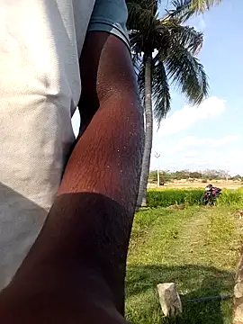 dolphiinn online show from April 2026 10:43:02 AM