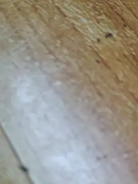 Markroco696 online show from October 2025 02:32:01 AM