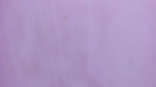 scarlett646 online show from February 2026 03:07:02 AM