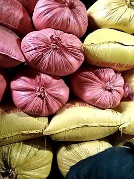 Sa2mh20 online show from February 2026 06:51:01 AM