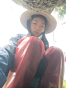 Ananine online show from April 2026 06:11:01 AM