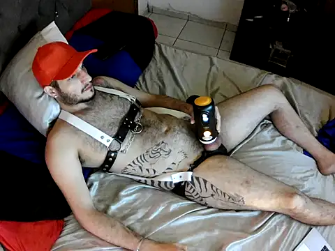Dolfinhorb online show from May 2026 07:10:01 PM