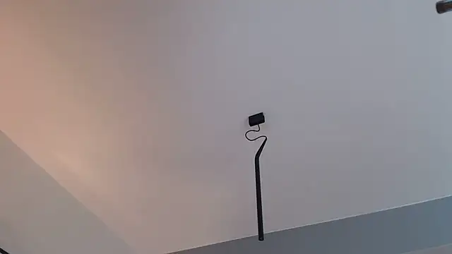 knodli online show from October 2025 09:54:01 AM