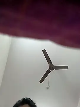 Appypie online show from November 2025 06:41:02 AM