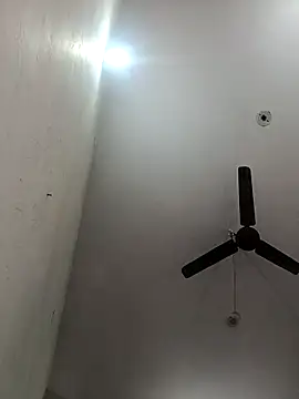 Appypie online show from November 2025 07:12:01 AM