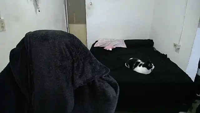 Snapshot of Amber09raiden chatting on October 2025 05:03:01 PM Amber09raiden online show from October 2025 05:03:01 PM