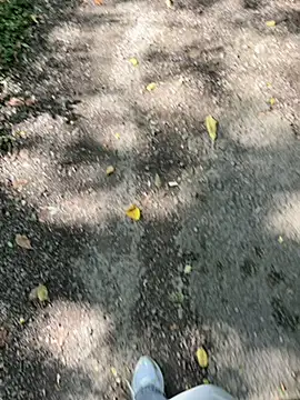 Snapshot of amo660 chatting on September 2025 10:05:01 AM amo660 online show from September 2025 10:05:01 AM