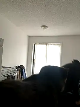 inked nekoo online show from December 2025 03:32:01 PM