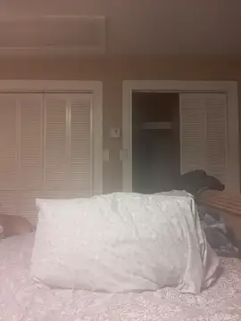 Gearsuit online show from March 2026 02:59:02 AM