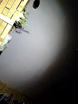 caronicole77 online show from January 2026 03:56:02 AM