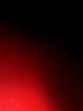 BlackCobraOwner online show from October 2025 11:21:02 AM