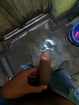 biswasb900 online show from November 2025 11:54:01 AM