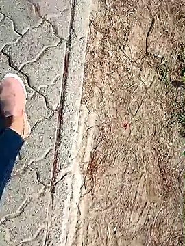 beerant online show from October 2025 05:39:01 AM